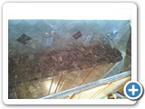resizedbacksplashes00127