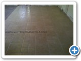 ceramicfloors00038