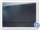 ceramicfloors00048