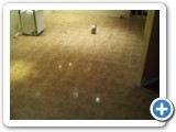 ceramicfloors00122
