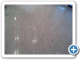 porcelain00273