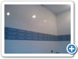 porcelain00396