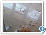 RECENTJOBS00287