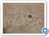 RECENTJOBS00397