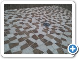 RECENTJOBS00929