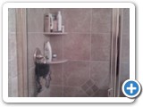 showers00394