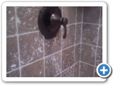 showers00445