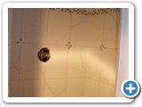 showers00587
