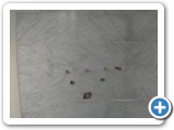 showers00653
