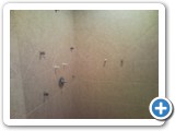 showers00757