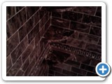 showers01121