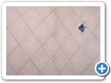showers01258