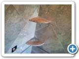 showers01316