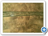 showers01439