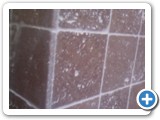 travertine00129